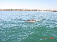 Click image for larger version

Name:	San Diego 2005 005.jpg
Views:	516
Size:	35.2 KB
ID:	10096