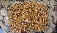 Click image for larger version

Name:	small shrooms.jpg
Views:	225
Size:	137.5 KB
ID:	108092