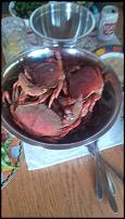 Click image for larger version

Name:	Rock crab dinner 1.jpg
Views:	295
Size:	64.8 KB
ID:	111755