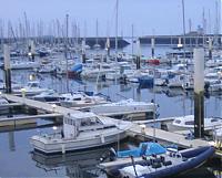 Click image for larger version

Name:	St Vaast cruise 001.jpg
Views:	485
Size:	54.6 KB
ID:	11605