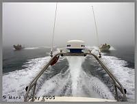 Click image for larger version

Name:	Staying close in fog.jpg
Views:	422
Size:	52.2 KB
ID:	11631