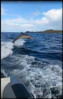 Click image for larger version

Name:	Flipper.JPG
Views:	110
Size:	50.9 KB
ID:	119545