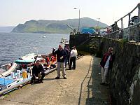 Click image for larger version

Name:	stopatportree1.jpg
Views:	638
Size:	59.4 KB
ID:	1216