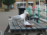 Click image for larger version

Name:	Ramsgate 2005 020 (Small).jpg
Views:	267
Size:	56.3 KB
ID:	12662