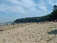 Click image for larger version

Name:	beach.jpg
Views:	660
Size:	97.7 KB
ID:	12802