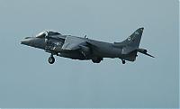 Click image for larger version

Name:	Harrier.jpg
Views:	472
Size:	82.3 KB
ID:	14130