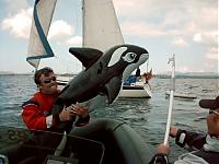 Click image for larger version

Name:	killerwhale.jpg
Views:	593
Size:	154.8 KB
ID:	14401