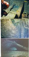 Click image for larger version

Name:	nightdive.jpg
Views:	373
Size:	76.8 KB
ID:	1467