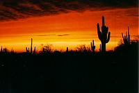 Click image for larger version

Name:	Arizona Sunset 1.jpg
Views:	490
Size:	37.4 KB
ID:	15876