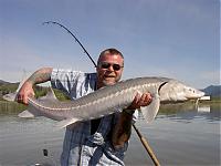 Click image for larger version

Name:	sturgeon-102.jpg
Views:	263
Size:	43.8 KB
ID:	16711