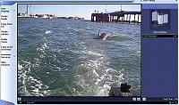 Click image for larger version

Name:	dolphin.JPG
Views:	819
Size:	51.0 KB
ID:	17309