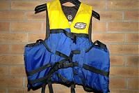 Click image for larger version

Name:	SKI VEST.jpg
Views:	256
Size:	43.4 KB
ID:	17410