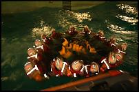 Click image for larger version

Name:	RNLI Pool (12).JPG
Views:	726
Size:	51.7 KB
ID:	23910