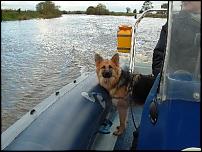 Click image for larger version

Name:	cody boat sml.jpg
Views:	301
Size:	40.9 KB
ID:	24615