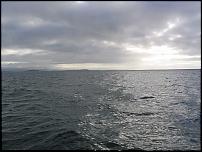 Click image for larger version

Name:	Gigha.JPG
Views:	203
Size:	41.8 KB
ID:	24653