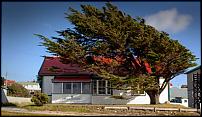 Click image for larger version

Name:	stanley tree.jpg
Views:	196
Size:	29.1 KB
ID:	25852