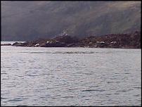 Click image for larger version

Name:	Even more Skomer seals.jpg
Views:	242
Size:	78.8 KB
ID:	26039