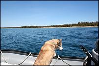 Click image for larger version

Name:	Boat Beast.jpg
Views:	294
Size:	178.5 KB
ID:	26620