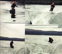 Click image for larger version

Name:	knee boarding.jpeg
Views:	1007
Size:	123.3 KB
ID:	271