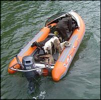 Click image for larger version

Name:	orange sport - dogs and pigs.jpg
Views:	543
Size:	33.8 KB
ID:	27407