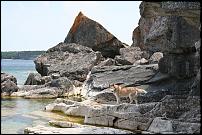Click image for larger version

Name:	Dufferin Point.jpg
Views:	318
Size:	99.8 KB
ID:	27883