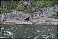 Click image for larger version

Name:	Wee Bear - Fitzwilliam.jpg
Views:	255
Size:	126.3 KB
ID:	27887
