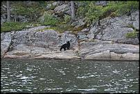 Click image for larger version

Name:	Wee Bear - Fitzwilliam.jpg
Views:	250
Size:	126.3 KB
ID:	27887