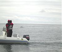 Click image for larger version

Name:	meme and phil watch dolphins at abersoch.jpg
Views:	448
Size:	29.1 KB
ID:	3078