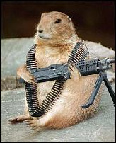 Click image for larger version

Name:	military%20rodent.jpg
Views:	682
Size:	57.3 KB
ID:	30948