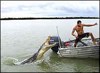 Click image for larger version

Name:	croc.jpg
Views:	753
Size:	38.4 KB
ID:	33313