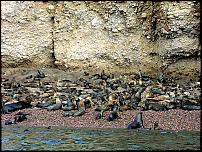 Click image for larger version

Name:	Paracas 02.JPG
Views:	863
Size:	103.8 KB
ID:	35857