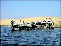 Click image for larger version

Name:	Paracas 05.JPG
Views:	727
Size:	85.4 KB
ID:	35860