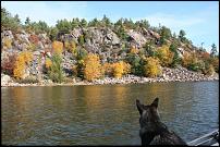 Click image for larger version

Name:	Fall Colours.jpg
Views:	244
Size:	86.4 KB
ID:	38118