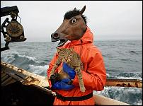 Click image for larger version

Name:	horse-with-cat-on-boat-in-storm-5907-1238034615-27.jpg
Views:	595
Size:	122.6 KB
ID:	42785