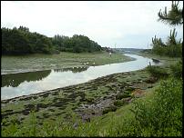 Click image for larger version

Name:	Medina River - Lowish Tide.jpg
Views:	426
Size:	102.6 KB
ID:	43077