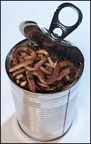 Click image for larger version

Name:	Can of worms.jpg
Views:	581
Size:	13.3 KB
ID:	46393