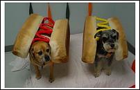 Click image for larger version

Name:	Stella_and_Henry_Hot_Dogs_2.JPG
Views:	547
Size:	17.2 KB
ID:	47478