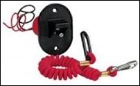 Click image for larger version

Name:	Outboard-Engine-Kill-Switch-&-Lanyard-medium.jpg
Views:	491
Size:	6.0 KB
ID:	47941