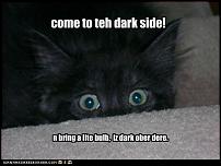 Click image for larger version

Name:	funny-pictures-kitten-comes-to-dark-side.jpg
Views:	567
Size:	25.5 KB
ID:	48063