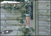 Click image for larger version

Name:	bluetit.jpg
Views:	247
Size:	198.6 KB
ID:	48580