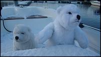 Click image for larger version

Name:	polar bears 011.jpg
Views:	473
Size:	30.8 KB
ID:	48607