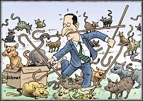 Click image for larger version

Name:	Herding Cats.jpg
Views:	691
Size:	90.9 KB
ID:	49620