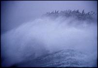 Click image for larger version

Name:	Grotto Waves 3 (Small).jpg
Views:	218
Size:	31.9 KB
ID:	50713