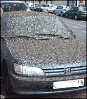 Click image for larger version

Name:	bird-car.gif
Views:	194
Size:	102.3 KB
ID:	51243