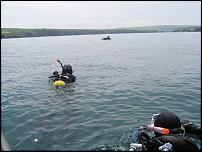 Click image for larger version

Name:	Bnose with divers 6th June 2010 #2.jpg
Views:	876
Size:	52.6 KB
ID:	51656