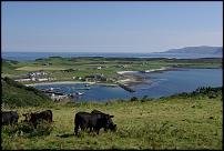 Click image for larger version

Name:	Rathlin coosS.jpg
Views:	282
Size:	206.0 KB
ID:	53503