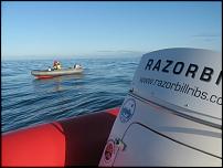 Click image for larger version

Name:	BBQ & Razorbill #1.jpg
Views:	422
Size:	41.6 KB
ID:	56490