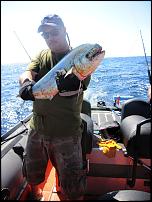 Click image for larger version

Name:	Randy&Dolphin.jpg
Views:	830
Size:	148.3 KB
ID:	57494