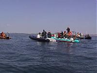 Click image for larger version

Name:	flotilla 2.jpg
Views:	331
Size:	15.6 KB
ID:	5895