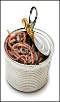 Click image for larger version

Name:	can o worms.jpg
Views:	537
Size:	72.6 KB
ID:	62556